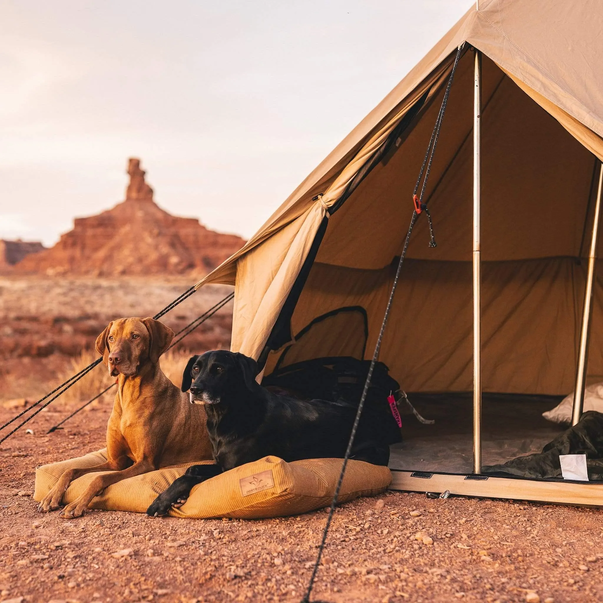 Dog Bed