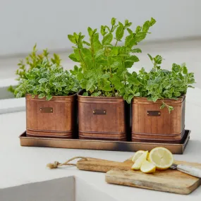 Ivyline Outdoor Hampton Copper Herb Planters 3 Set