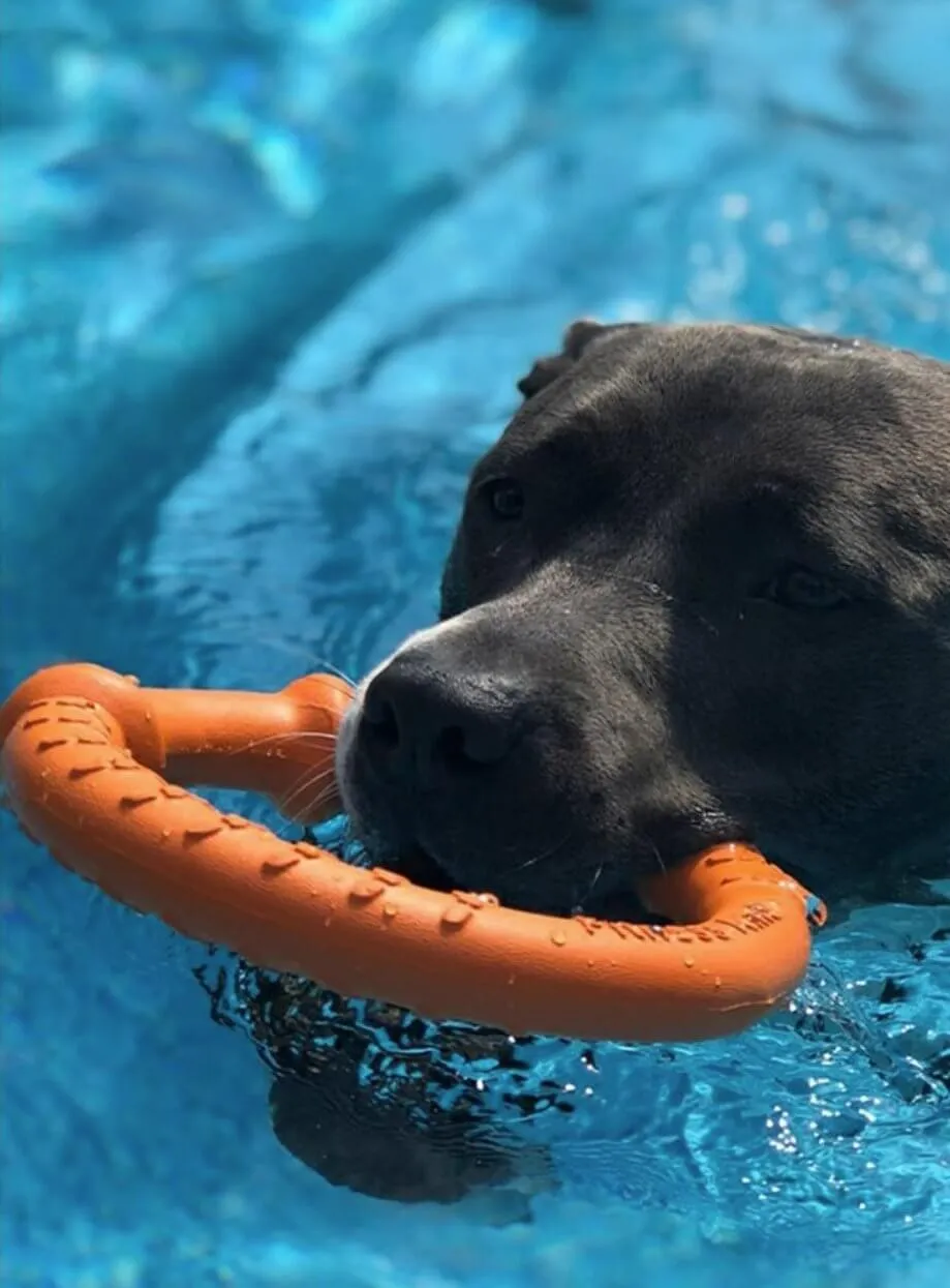 LaRoo Dog Tug Toys Floatable Dog Flying Disc For Interactive Play