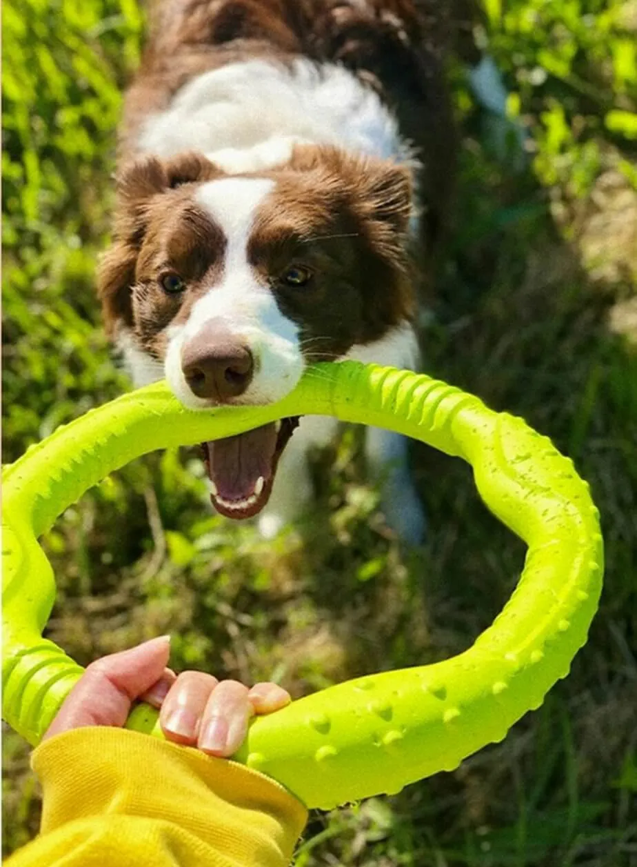 LaRoo Dog Tug Toys Floatable Dog Flying Disc For Interactive Play